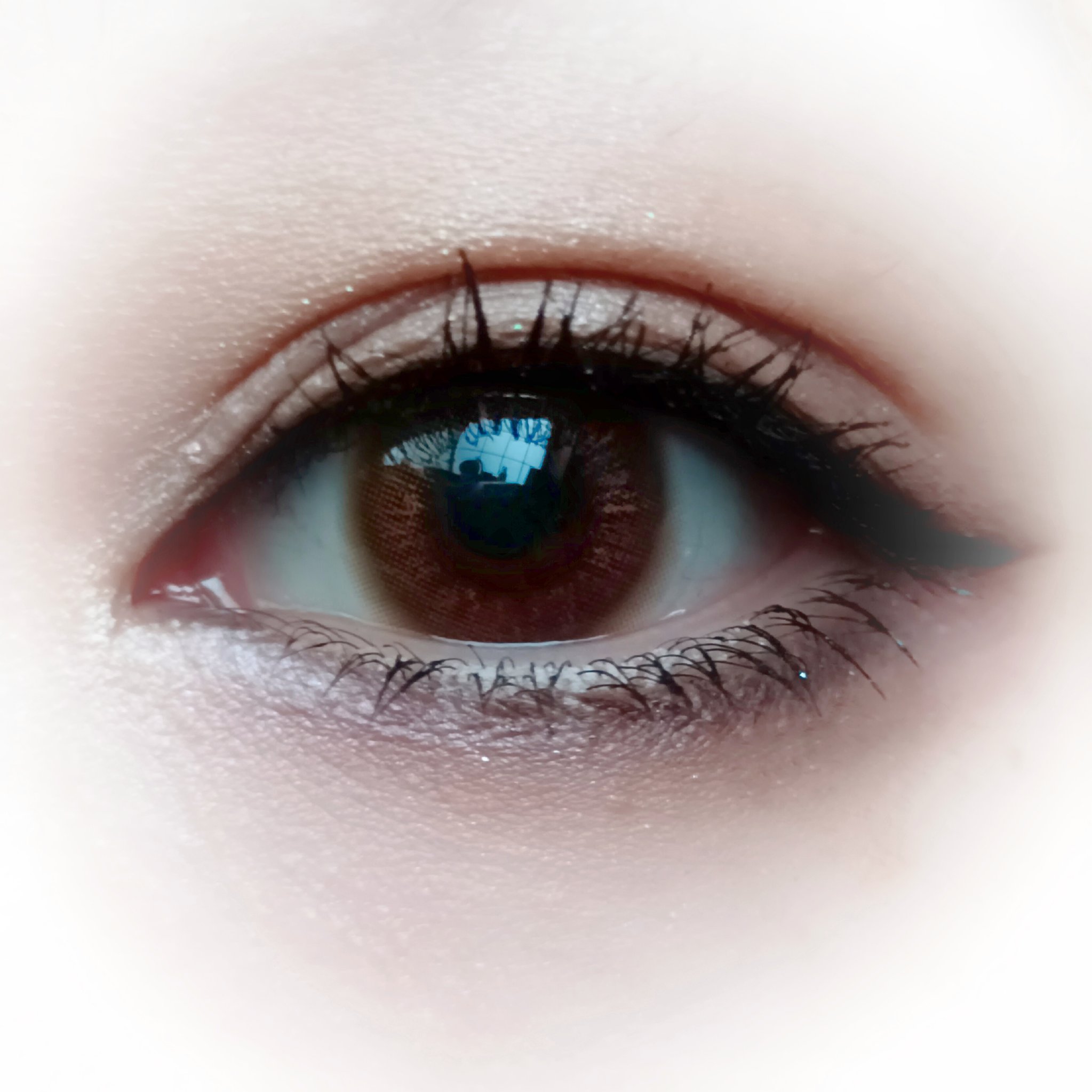 VNTUS 1day/VNTUS/ワンデー（１DAY）カラコンを使ったクチコミ（2枚目）