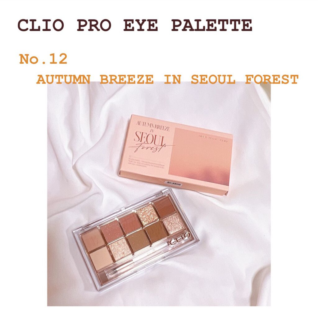 プロ アイ パレット/CLIO/アイシャドウパレットを使ったクチコミ(1枚目)