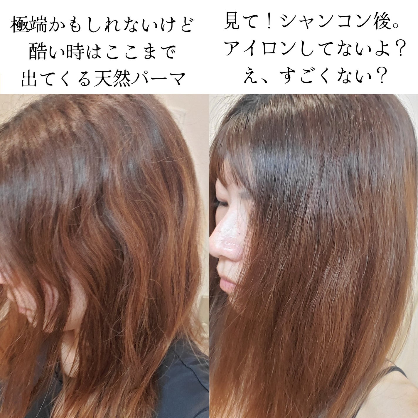 オイルインシャンプー/オイルインコンディショナー (グロス&リペア)/ディアボーテ/市販シャンプーを使ったクチコミ(6枚目)
