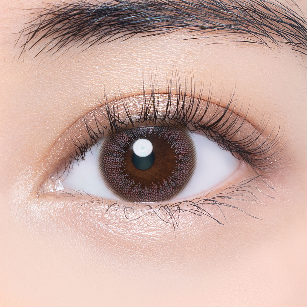 VNTUS 1day ブラウンキスト