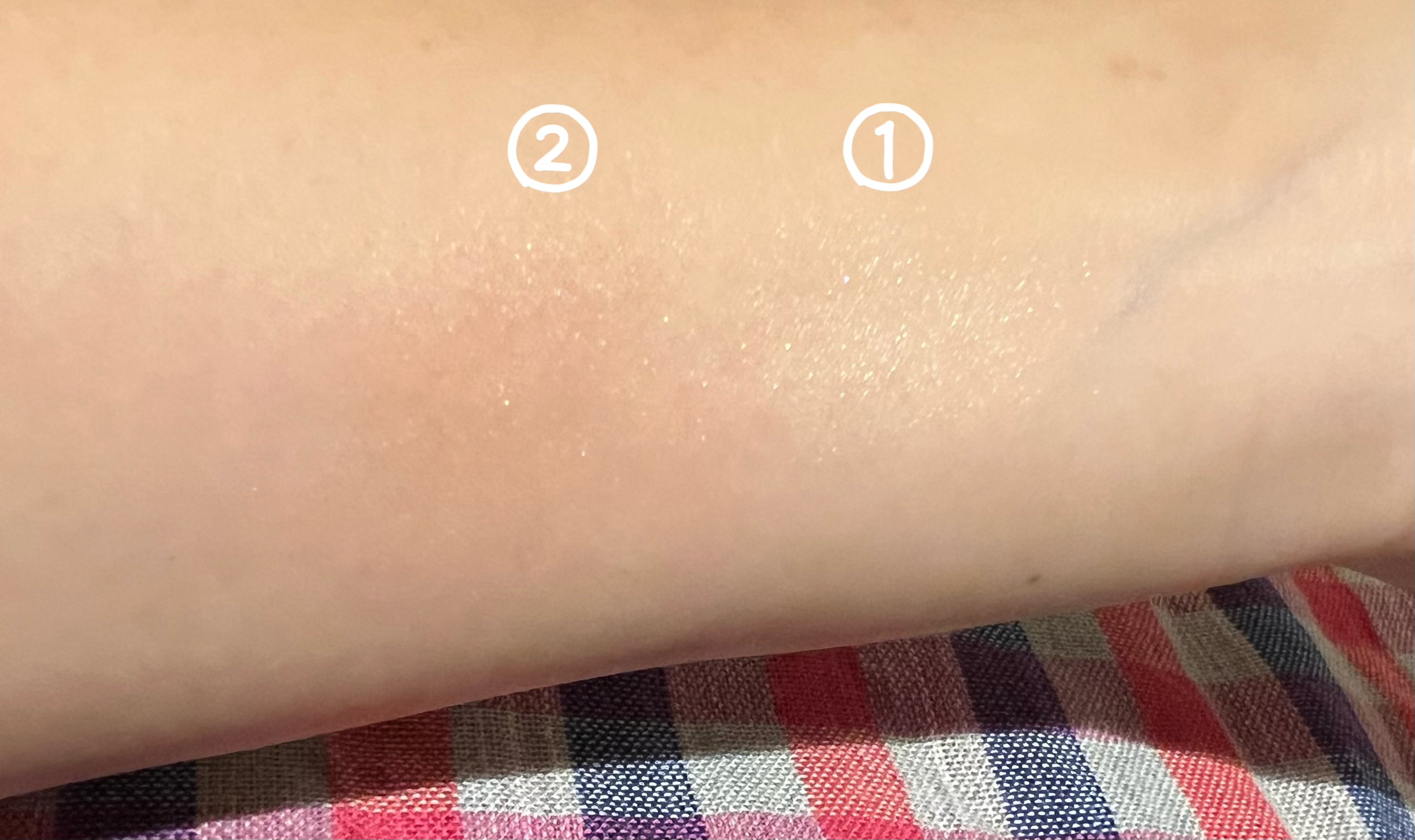 フィット my カラーパレット/STEIASUR（ステイアシュール）/マルチパレットを使ったクチコミ（3枚目）