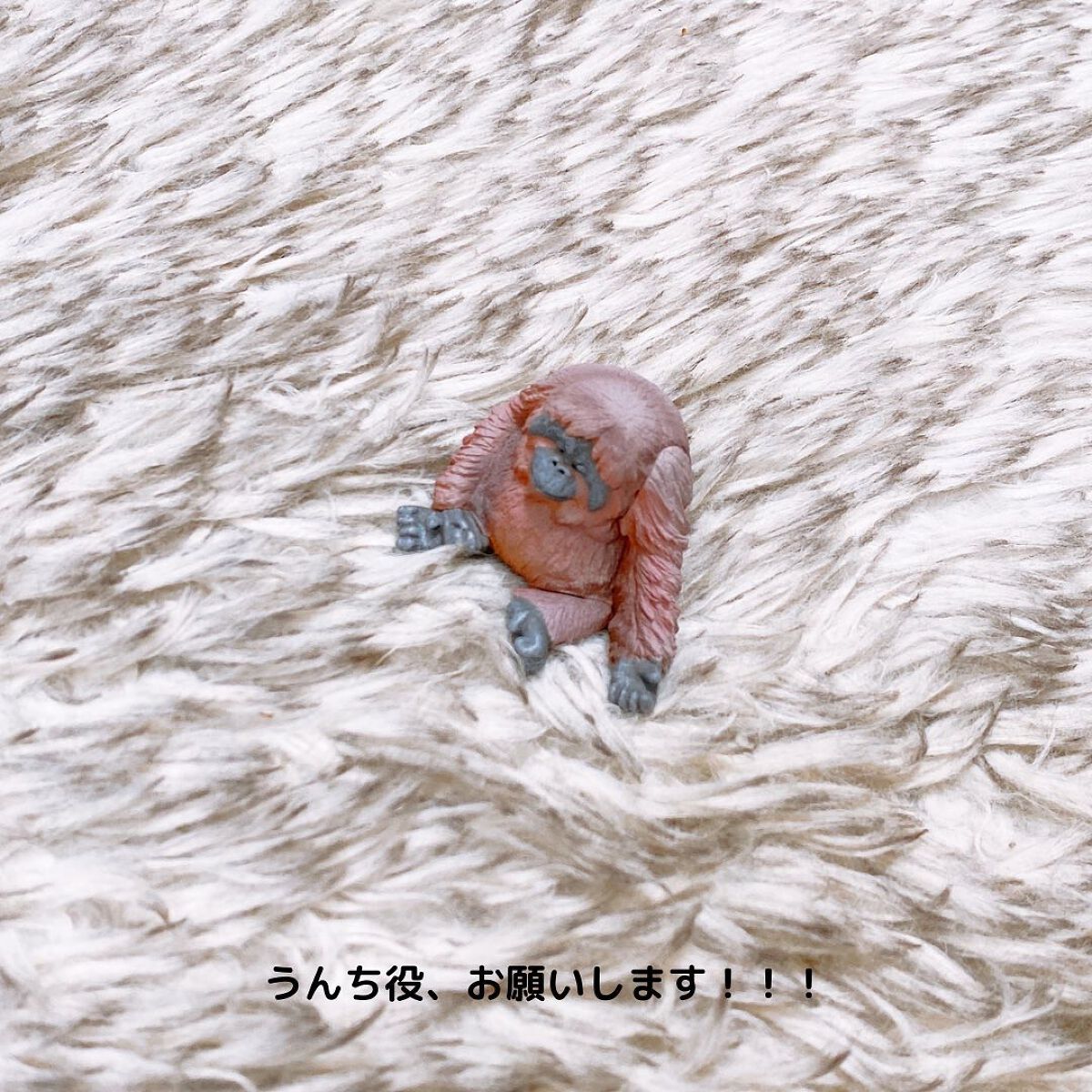 えび松(春br) on LIPS 「アスト株式会社様よりマスコー製紙株式会社ペットめちゃラク10..」(4枚目)