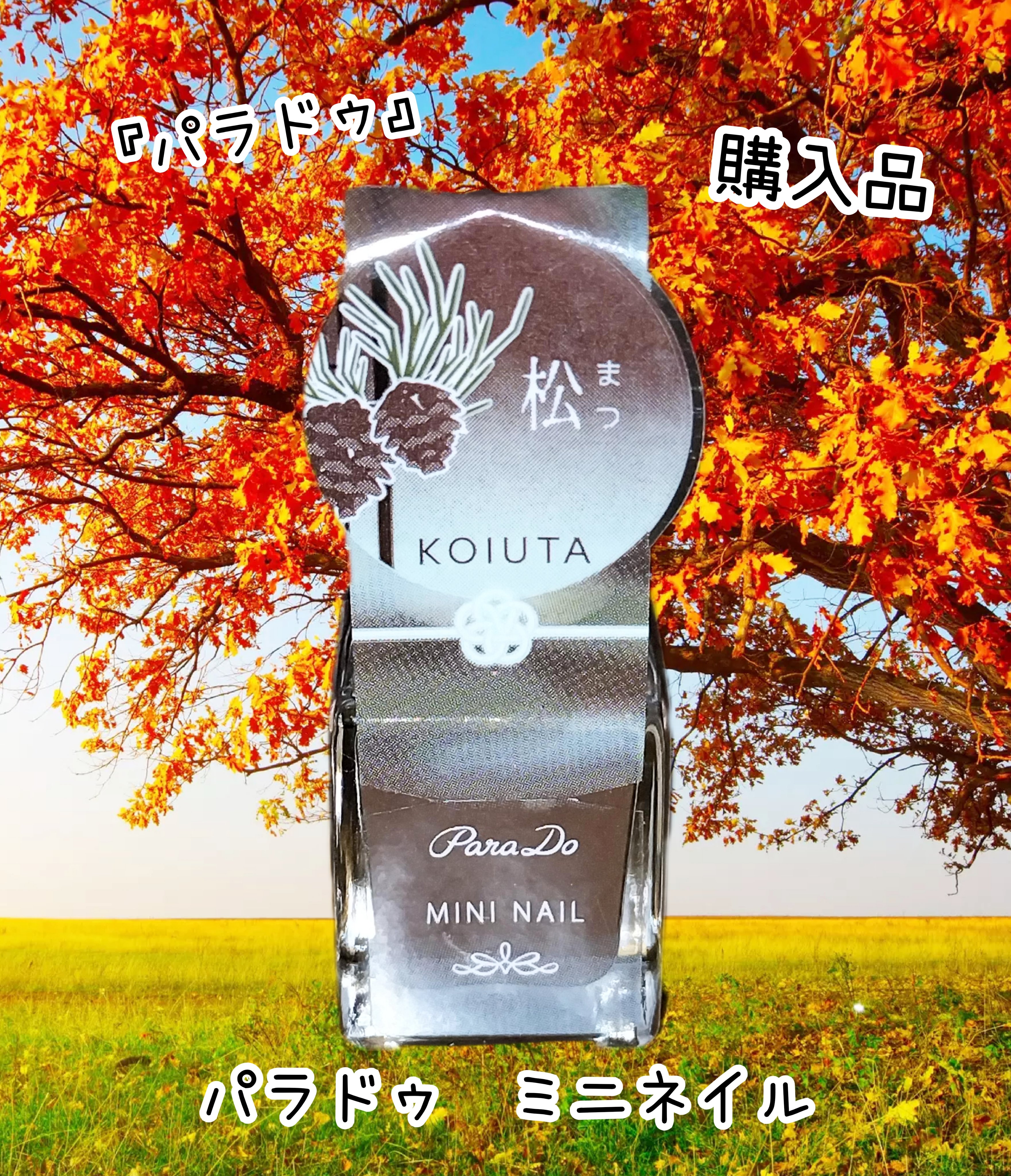 ミニネイル BR08 松（まつ）/パラドゥ/マニキュアを使ったクチコミ（1枚目）