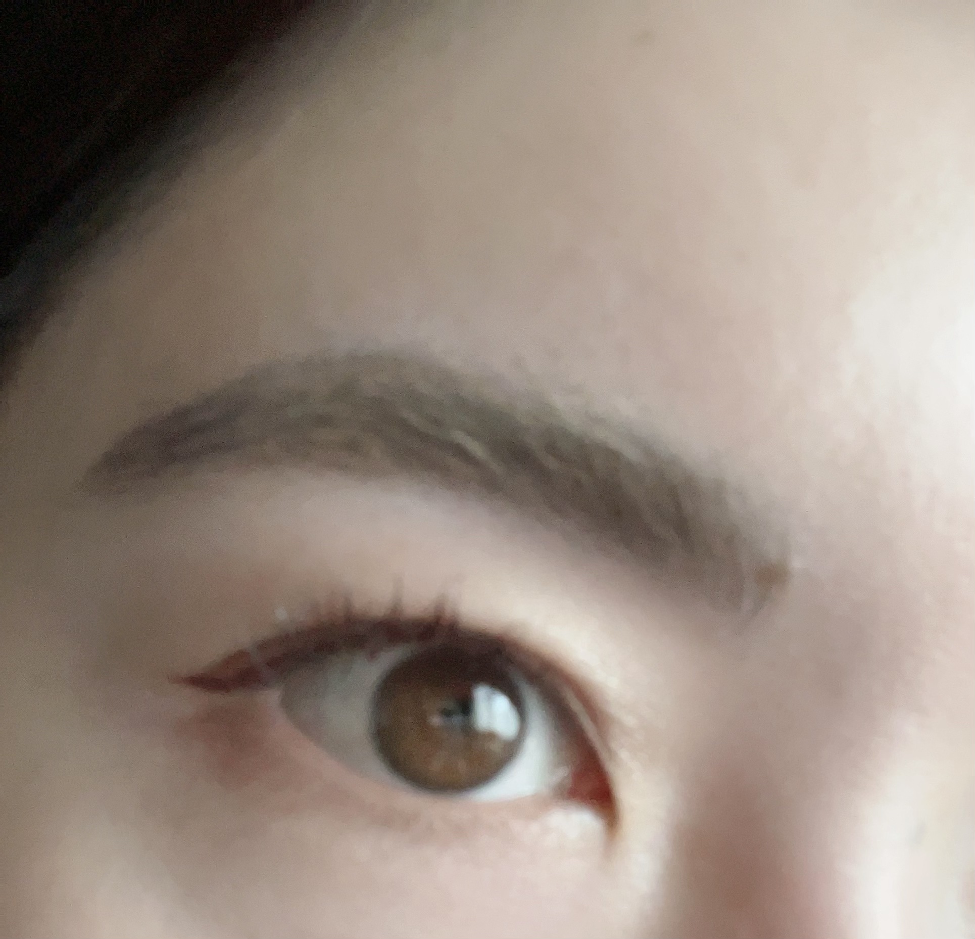 3DアイブロウカラーN/KATE/眉マスカラを使ったクチコミ（2枚目）