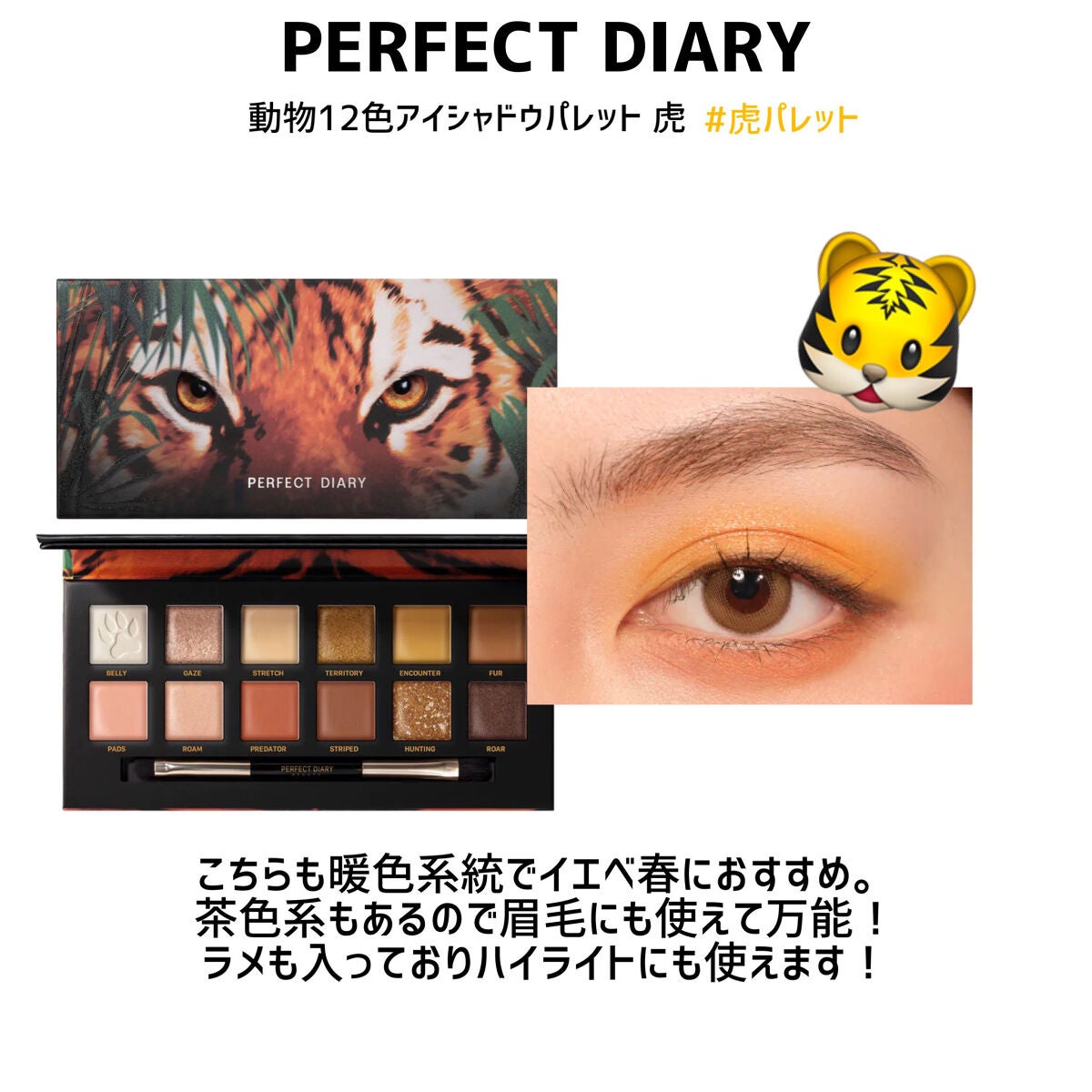 エクスプローラ12色 動物アイシャドウパレット/PERFECT DIARY/アイシャドウパレットを使ったクチコミ(4枚目)