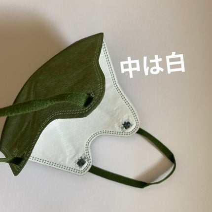 立体型スパンレース不織布カラーマスク/ISDG 医食同源ドットコム/マスクを使ったクチコミ(3枚目)