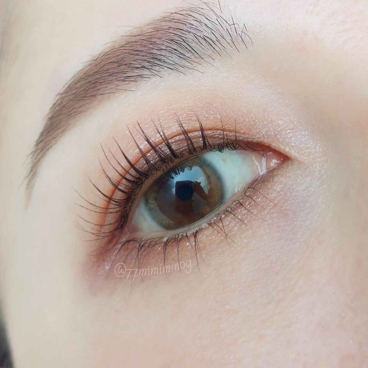 シグニチャー カラー アイズ/SUQQU/アイシャドウパレットを使ったクチコミ(2枚目)