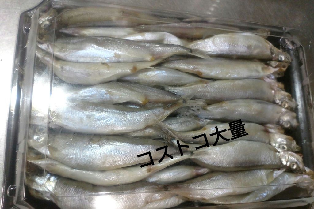 さより…新にゃんこお迎えしました😻 on LIPS 「🐟栄養豊富、ししゃもです🐟身体のために、美容のために、魚や肉を..」(2枚目)