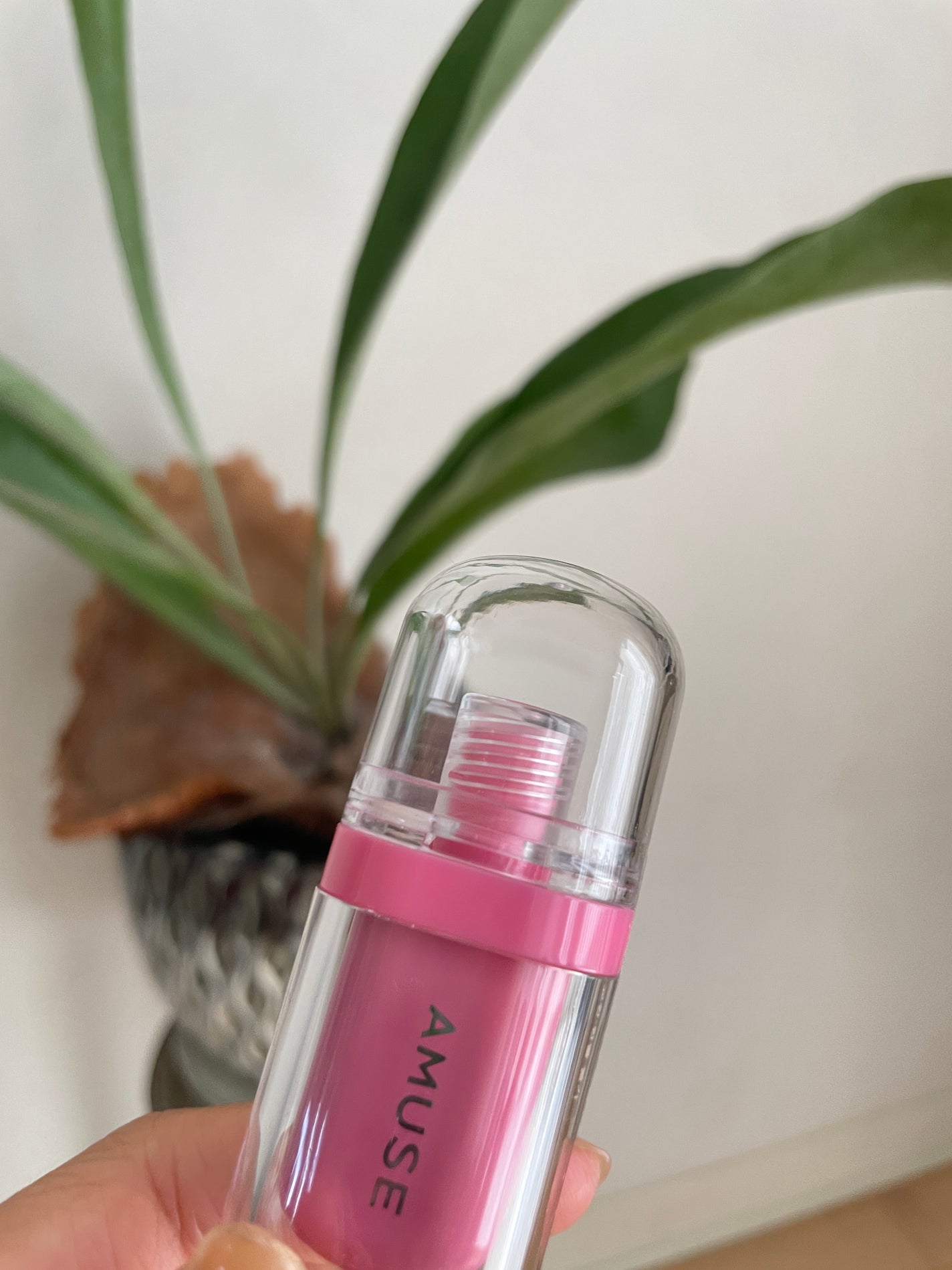 垢抜けにゃん(コスメ/ダイエット備忘録) on LIPS 「アミューズジェルフィットティントむっちりくちびる作りたい時にお..」(1枚目)