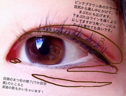 ラスティングマルチアイベース WP/キャンメイク/アイシャドウベースを使ったクチコミ(6枚目)