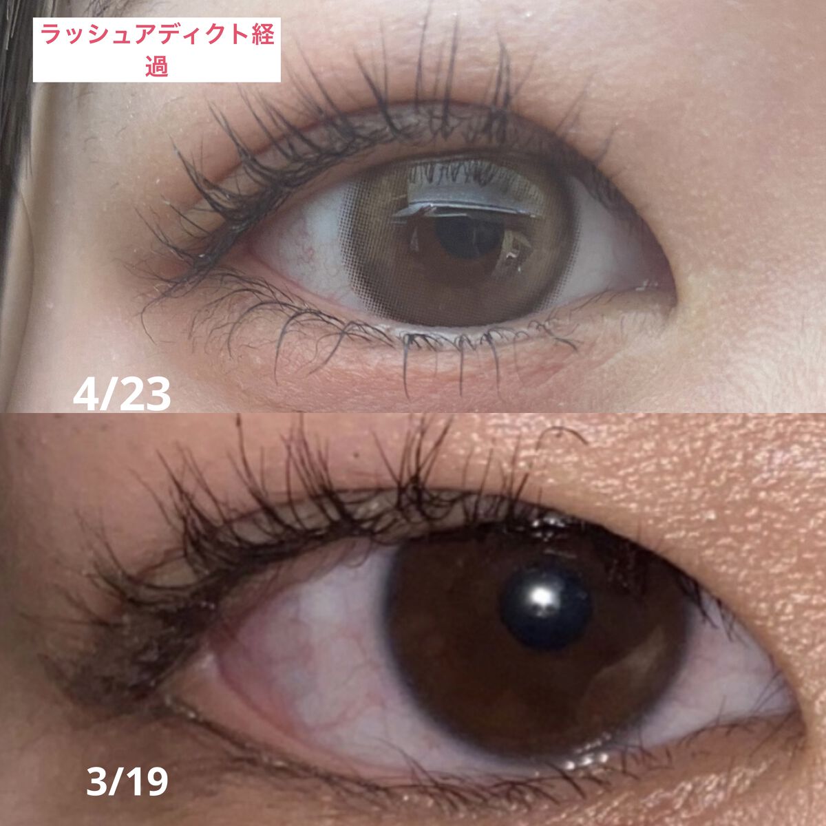 超モテコンウルトラワンデー おしゃモテリング/モテコン/ワンデー（１DAY）カラコンを使ったクチコミ（1枚目）