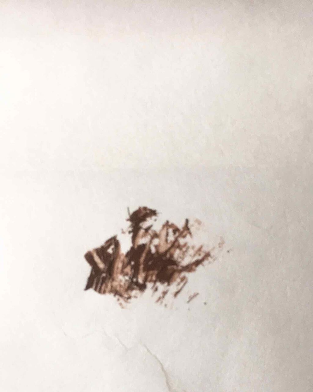 ラッシュエキスパンダー エッジマイスター F/MAJOLICA MAJORCA/マスカラを使ったクチコミ(2枚目)