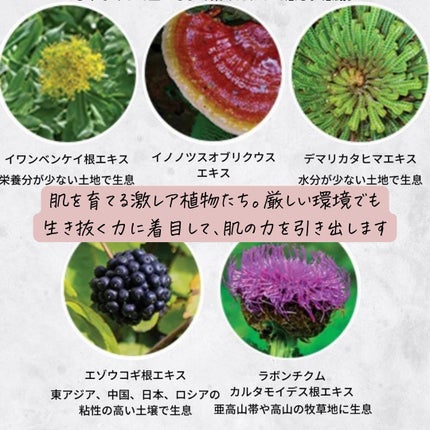 おゆみ|ニキビ・ニキビ跡ケア on LIPS 「【肌が環境ストレスに強くなるファンデ、1年塗り続けてみた】@_..」(6枚目)