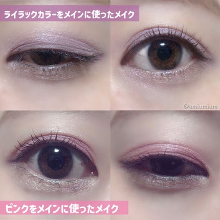 ロイヤルヴィンテージ アイズ/リンメル ロンドン/アイシャドウパレットを使ったクチコミ(6枚目)