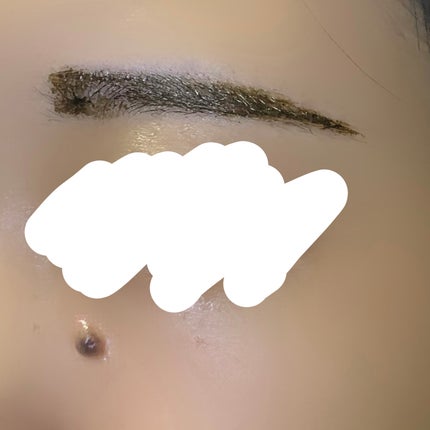 眉ティントSVR 101 グレーブラウン(WEB限定)/Fujiko/眉ティントを使ったクチコミ(3枚目)