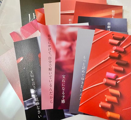 ルージュスターヴァイブラント/KANEBO/口紅を使ったクチコミ(3枚目)