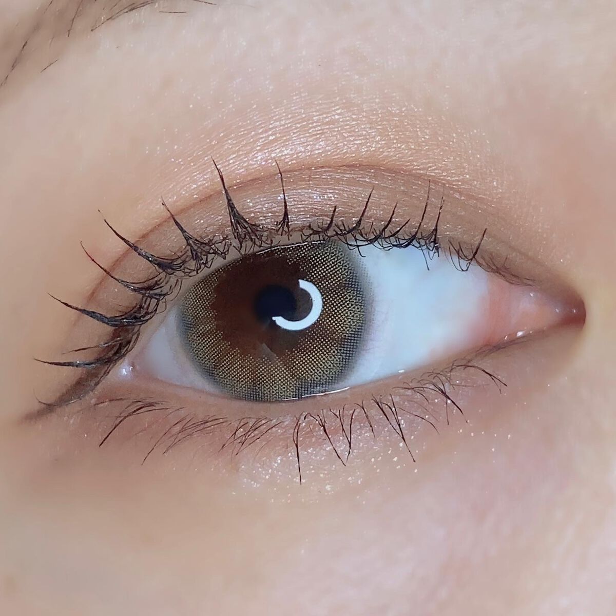 perse 1day/perse/ワンデー(1DAY)カラコンを使ったクチコミ(4枚目)