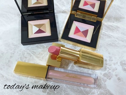 コンスピキュアス リップス/Amplitude/口紅を使ったクチコミ(9枚目)