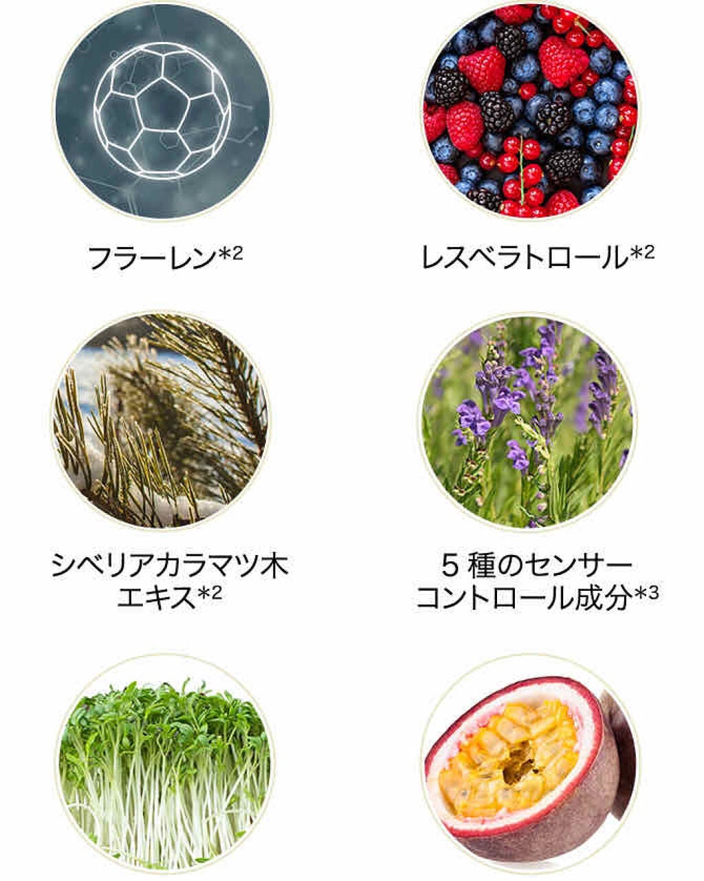 スーパーホワイト377VC/ドクターシーラボⓇ/美容液を使ったクチコミ(3枚目)