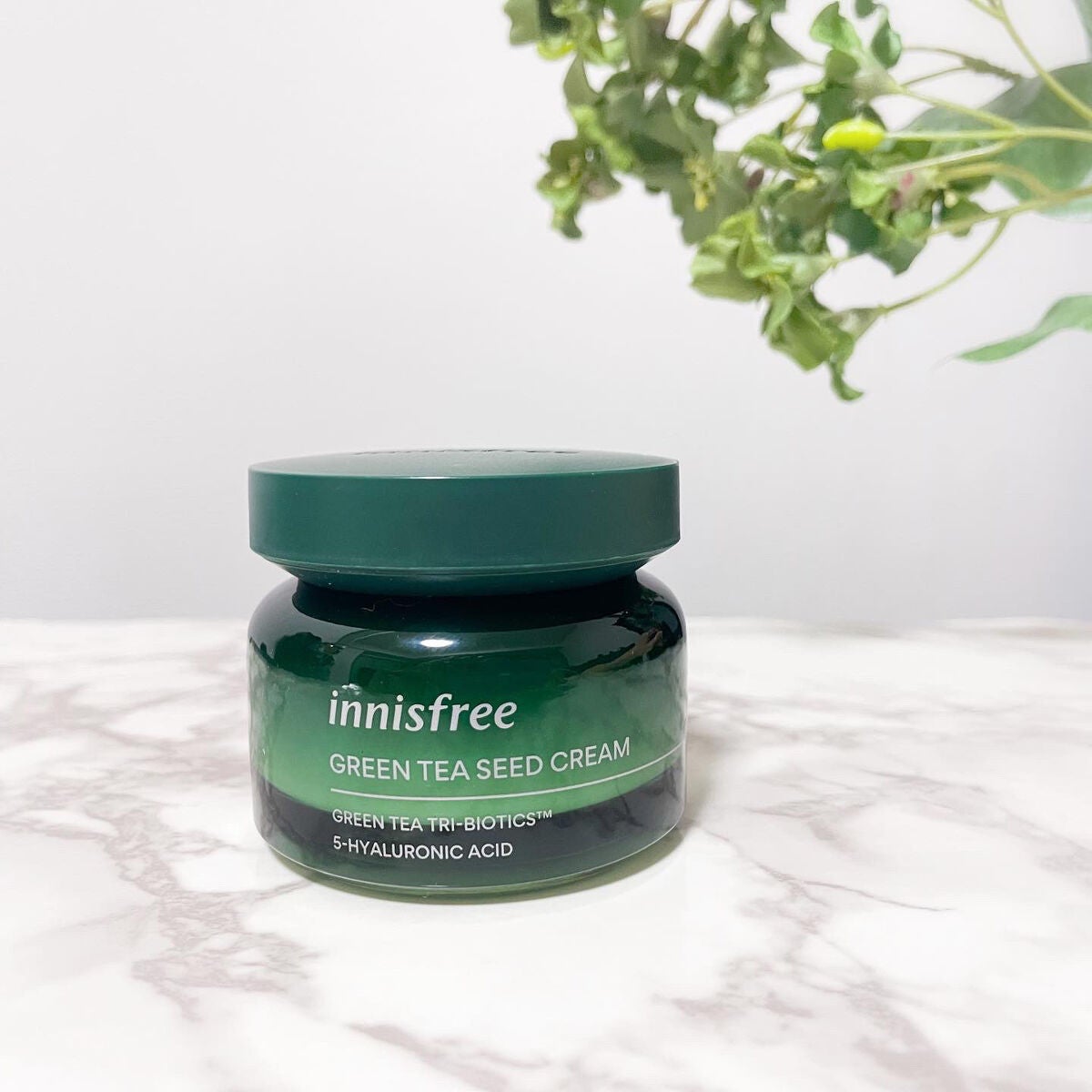 グリーンティーシード クリーム/innisfree/フェイスクリームを使ったクチコミ(1枚目)