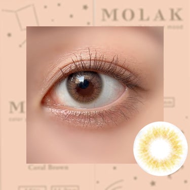 MOLAK 1day コーラルブラウン/MOLAK/ワンデー（１DAY）カラコンを使ったクチコミ（2枚目）