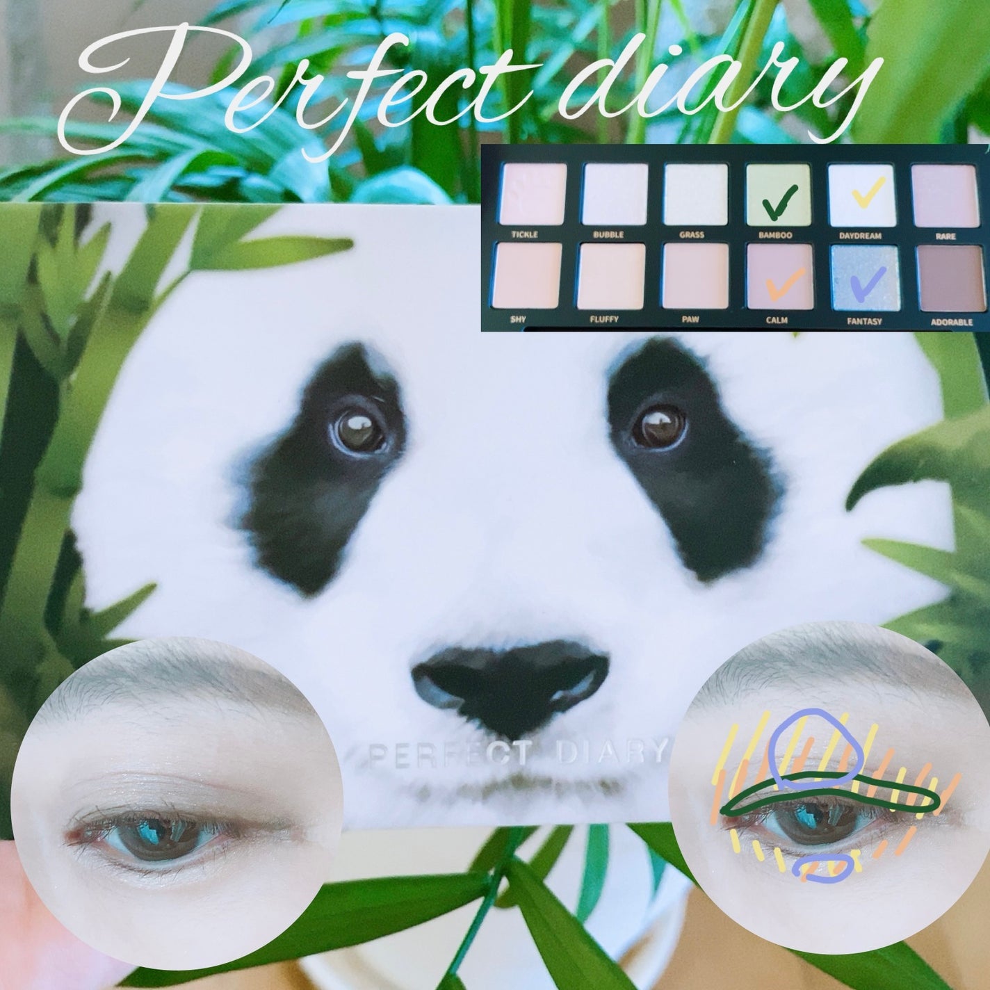 エクスプローラ12色 動物アイシャドウパレット/PERFECT DIARY/アイシャドウパレットを使ったクチコミ(1枚目)