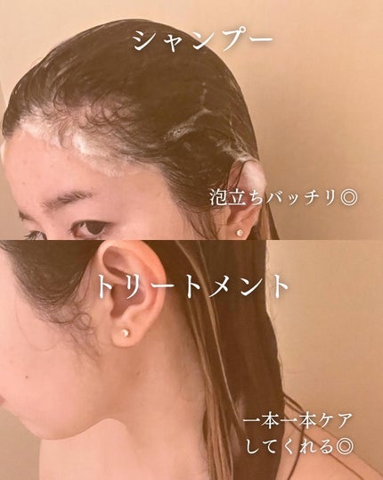 モイスト&リペアシャンプー/トリートメント/NARTH/市販シャンプーを使ったクチコミ(4枚目)