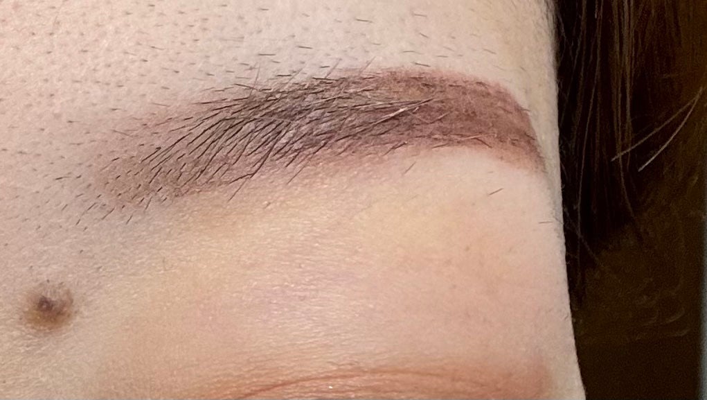 サナ ニューボーン カラーリングブロウマスカラ/サナ ニューボーン/マスカラを使ったクチコミ(3枚目)