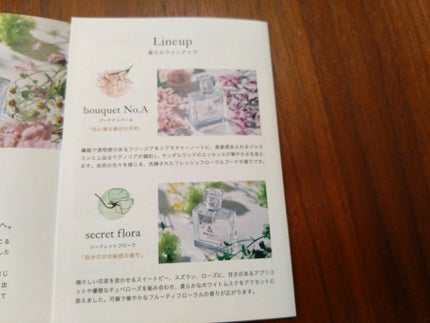 ブーケナンバーA オードパルファム/& BOUQUET/香水(その他)を使ったクチコミ(4枚目)