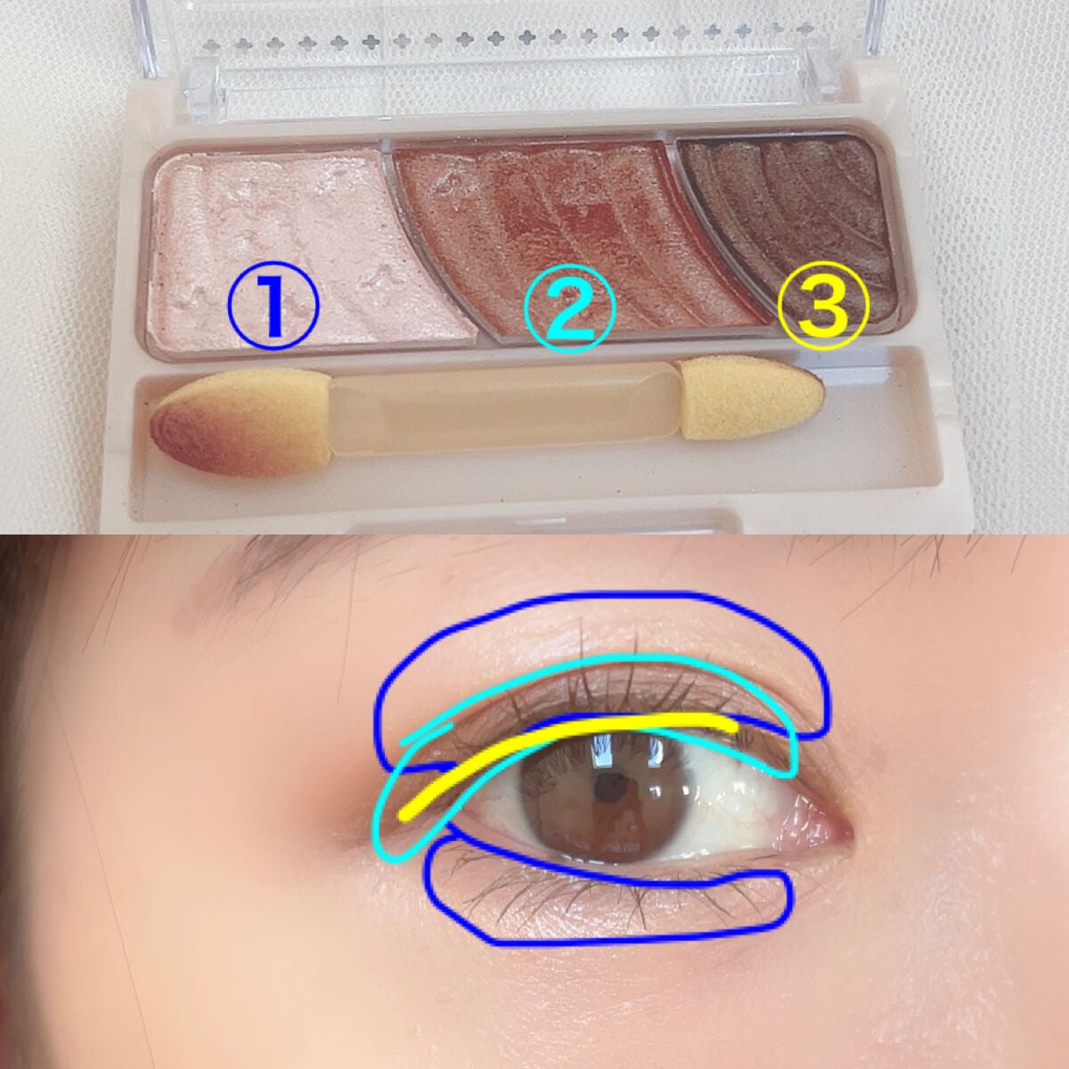 トーンアップアイシャドウ/CEZANNE/アイシャドウパレットを使ったクチコミ(2枚目)