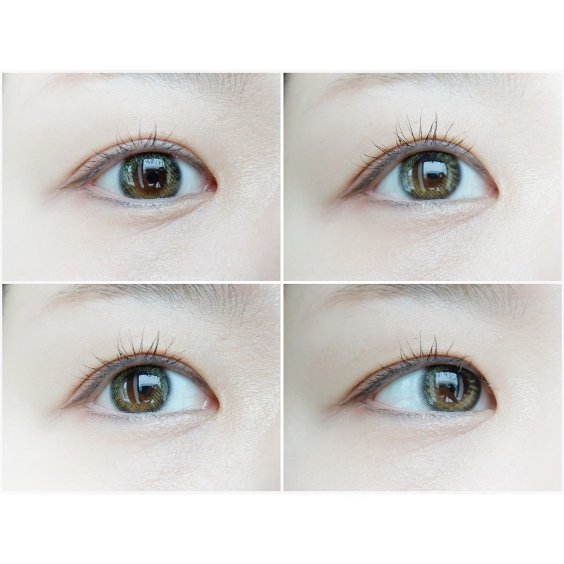 TOPARDS 1day/TOPARDS/ワンデー(1DAY)カラコンを使ったクチコミ(3枚目)