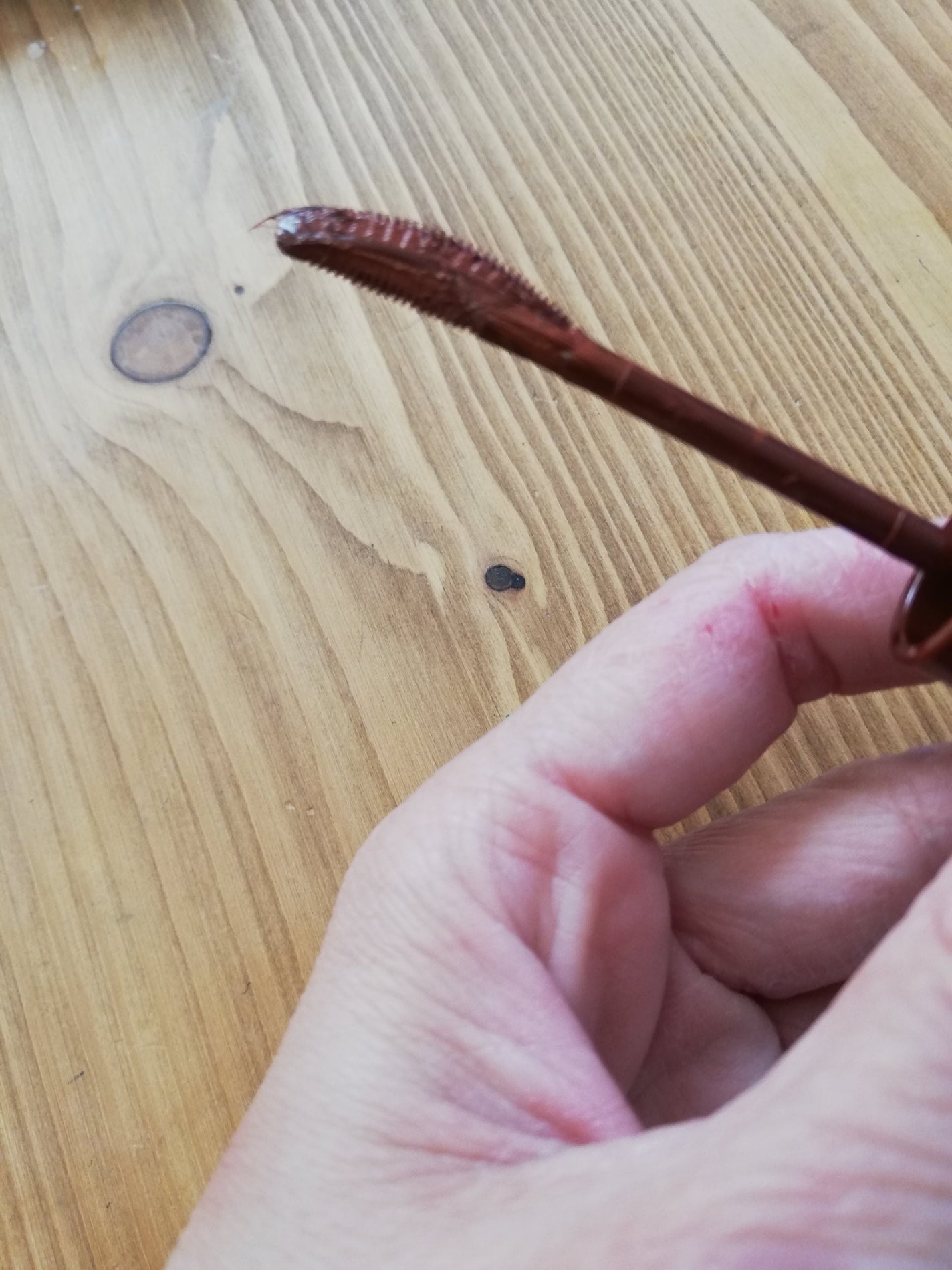 ラッシュエキスパンダー ロングロングロング/MAJOLICA MAJORCA/マスカラを使ったクチコミ(2枚目)