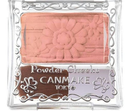 薬用固形パウダー/ピジョン/ボディパウダーを使ったクチコミ(1枚目)