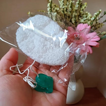 アクアコンディショナーフェイスM/ナチュラブ/その他スキンケアグッズを使ったクチコミ(2枚目)