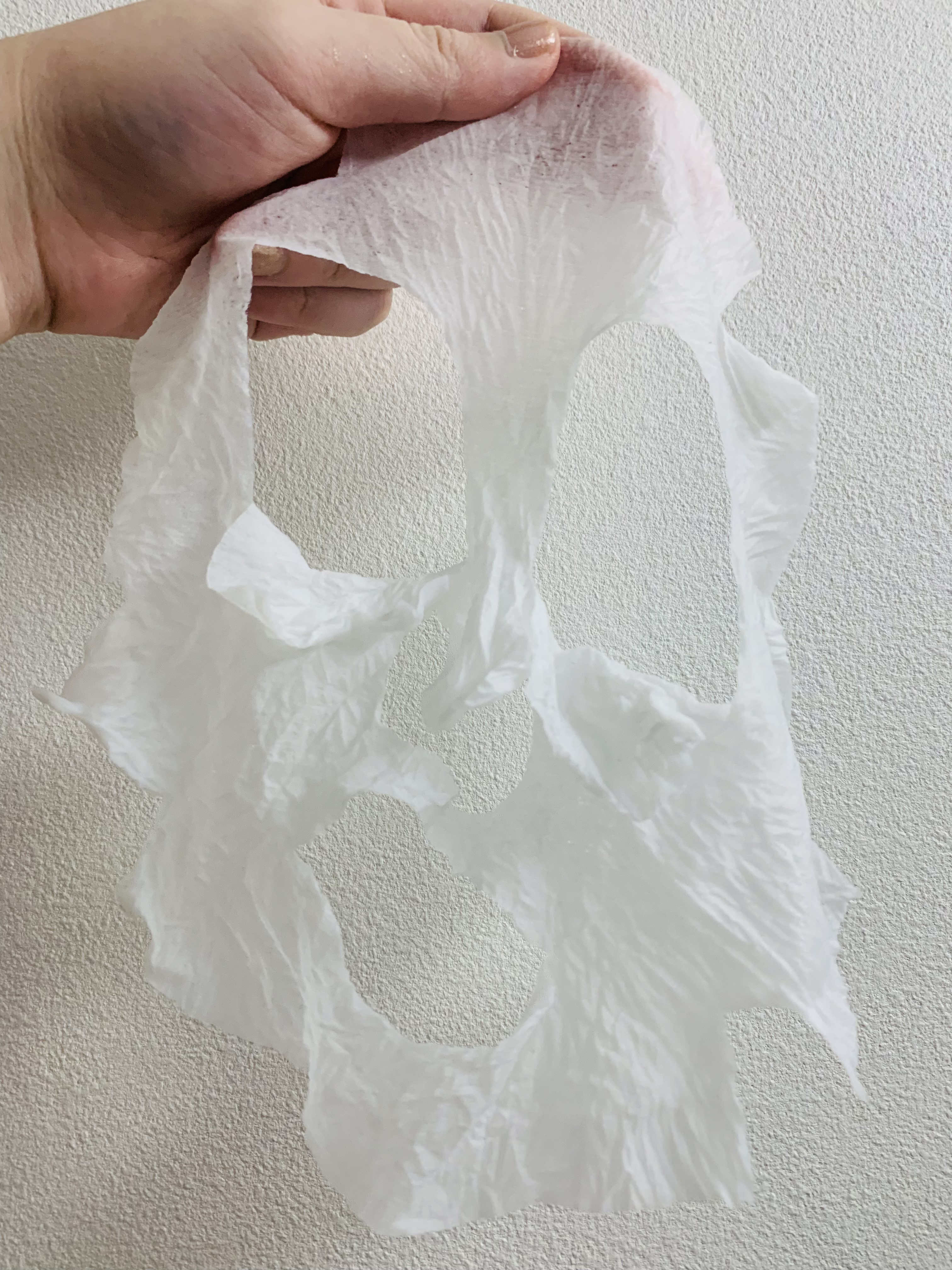 お手入れマスクN/SHISEIDO/その他スキンケアグッズを使ったクチコミ（3枚目）