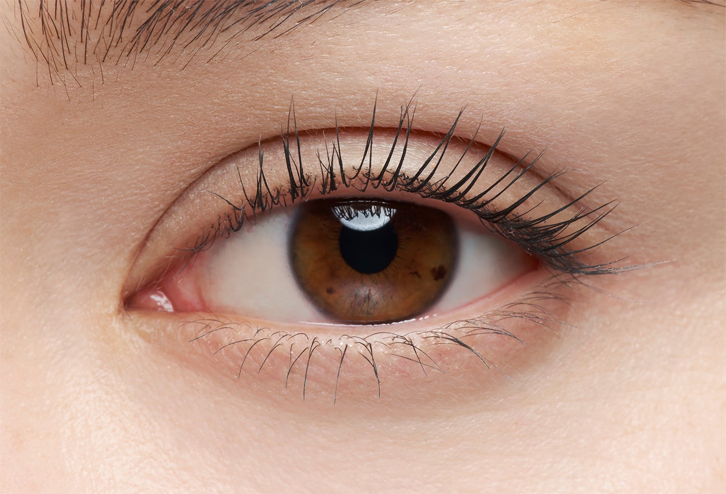 ケイト ラッシュマキシマイザーHP シークレット KATE