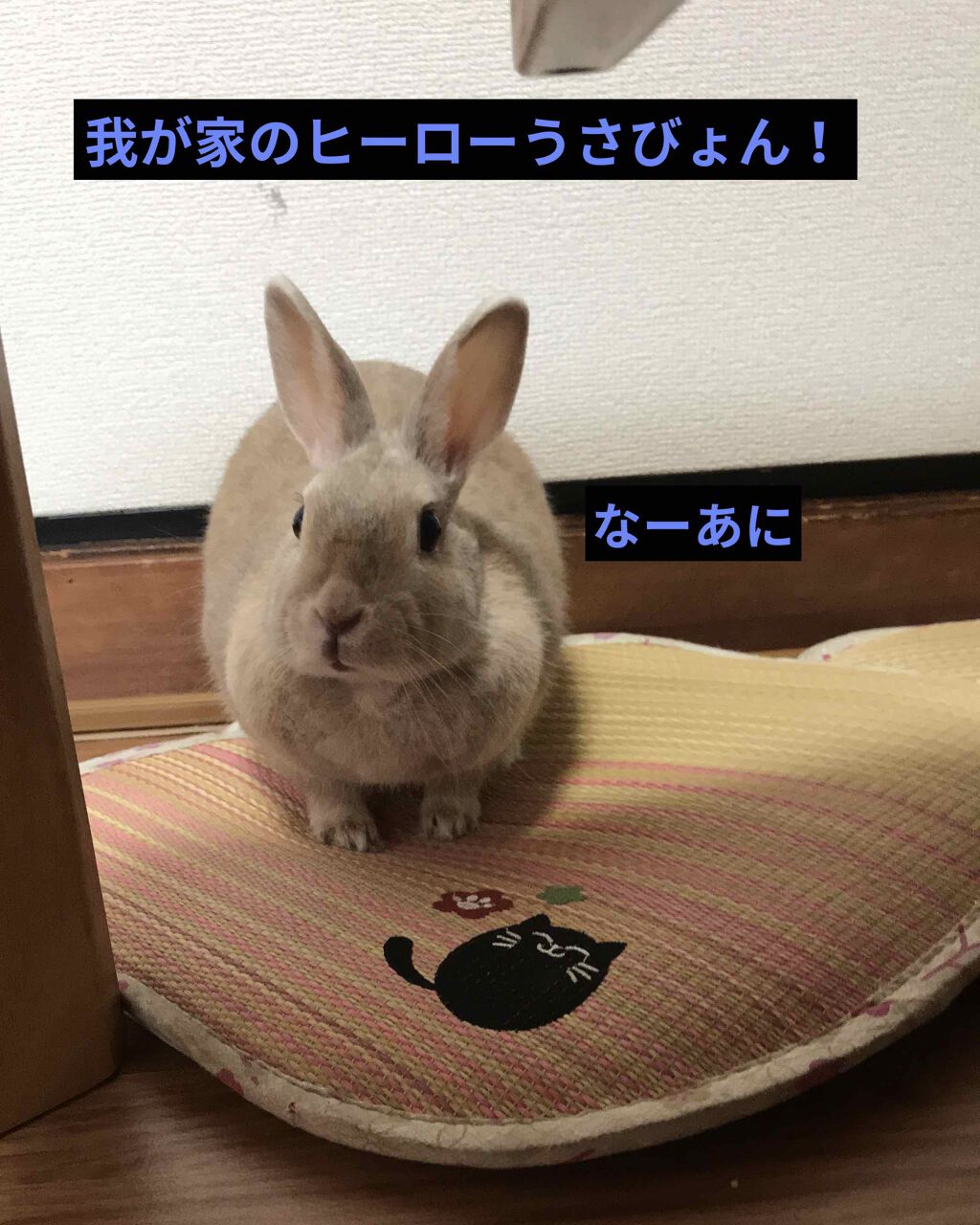 自己紹介/雑談/その他を使ったクチコミ（1枚目）