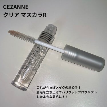 ノーズ＆アイブロウパウダー/CEZANNE/パウダーアイブロウを使ったクチコミ（3枚目）