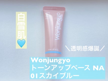 ウォンジョンヨ トーンアップベース NA/Wonjungyo/化粧下地を使ったクチコミ(1枚目)