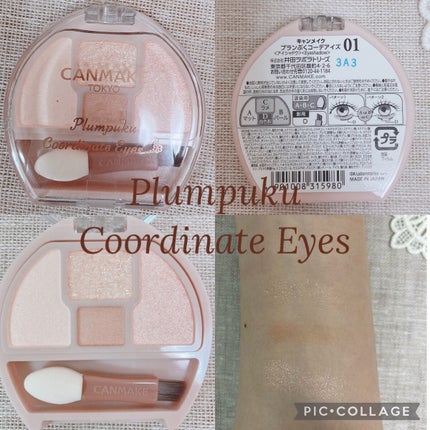プランぷくコーデアイズ/キャンメイク/パウダーアイシャドウを使ったクチコミ(1枚目)