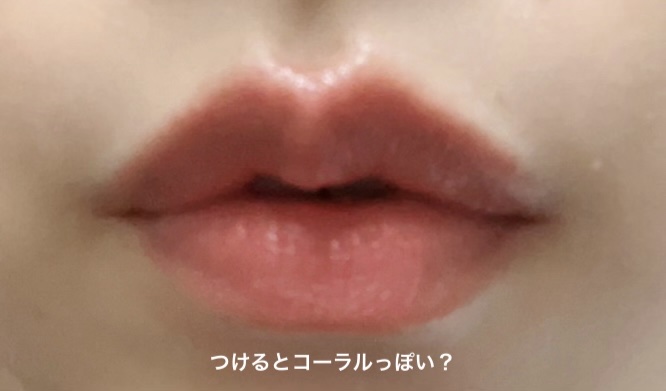ネンマクフェイク ルージュ/Visée/口紅を使ったクチコミ（3枚目）