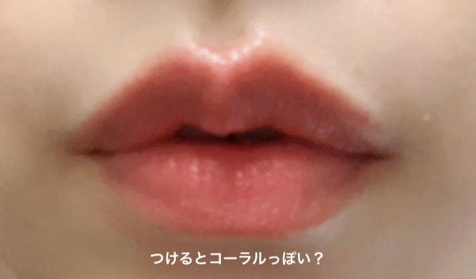 ネンマクフェイク ルージュ/Visée/口紅を使ったクチコミ(3枚目)