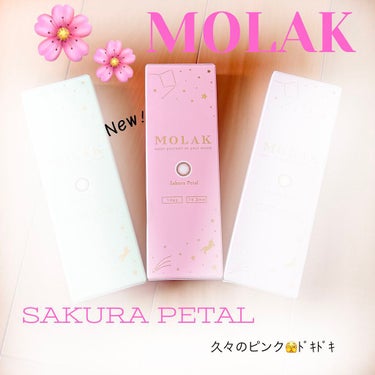 MOLAK 1day/MOLAK/ワンデー（１DAY）カラコンを使ったクチコミ（1枚目）