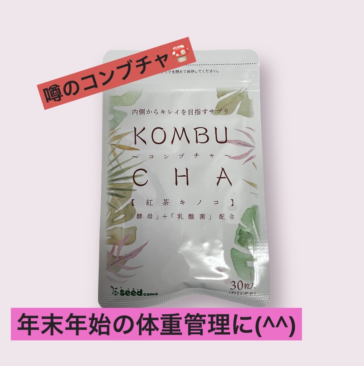 KOMBUCHA【紅茶キノコ】/シードコムス/美容サプリメントを使ったクチコミ（1枚目）