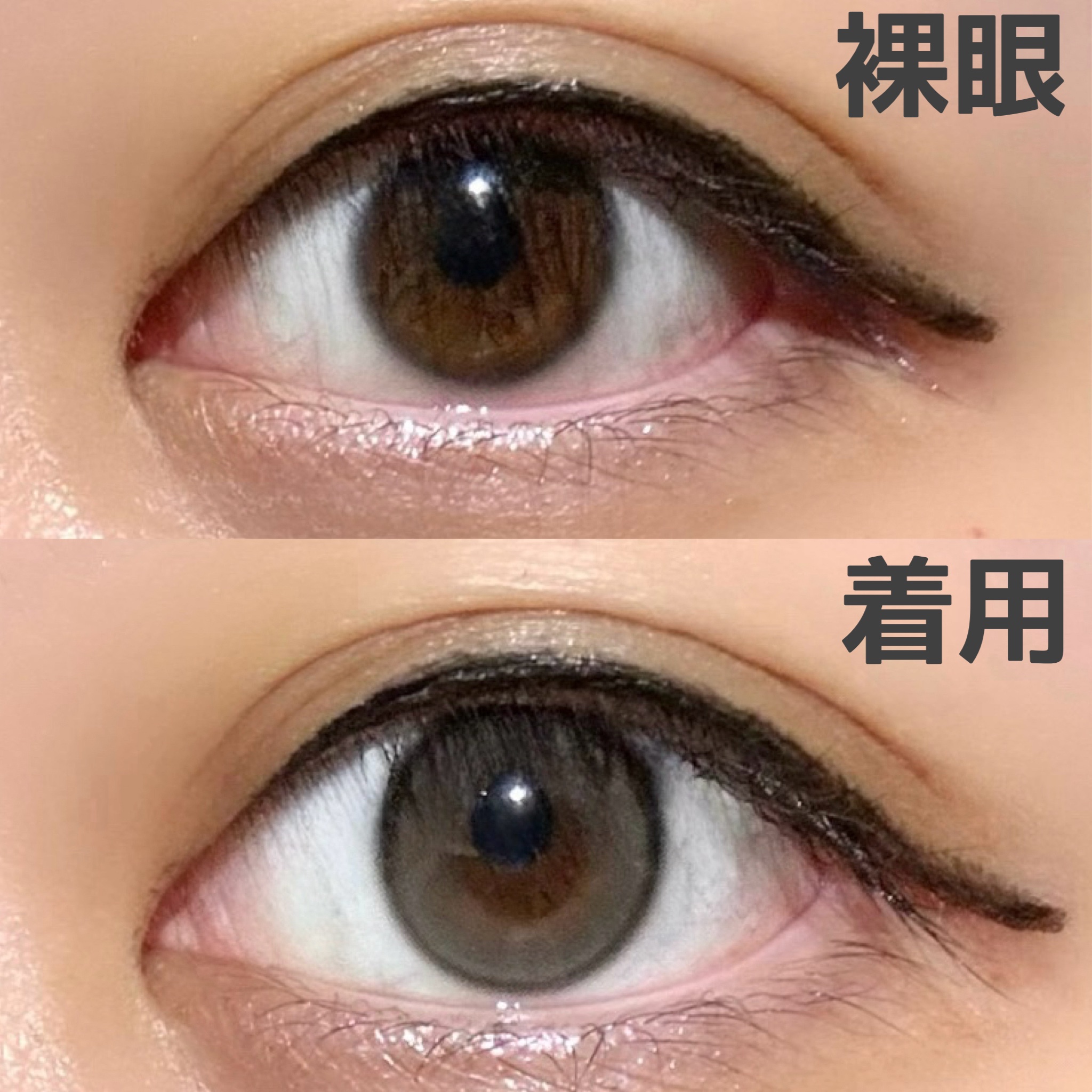 Real Ring 1day/OLENS/ワンデー（１DAY）カラコンを使ったクチコミ（2枚目）