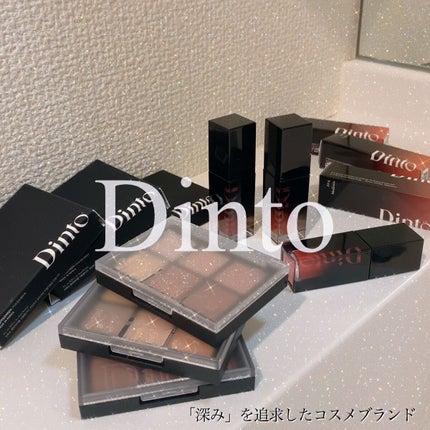 ブラーフィニシュシャドウパレット/Dinto/アイシャドウパレットを使ったクチコミ(5枚目)