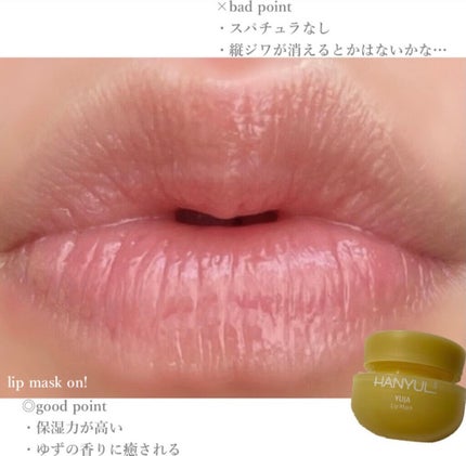 リップスリーピングマスク/LANEIGE/リップバームを使ったクチコミ(4枚目)