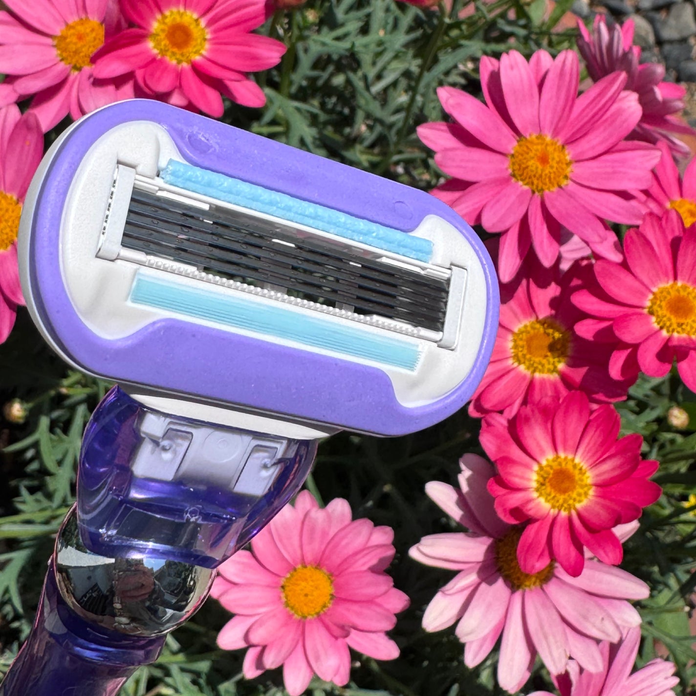 スワール 艶すべ肌/Gillette Venus/シェーバーを使ったクチコミ(1枚目)