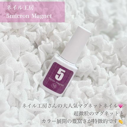 5ミクロンマグネット/ネイル工房/ジェルネイルを使ったクチコミ(2枚目)