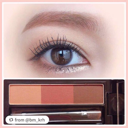 ヴィセ リシェ アイブロウパウダー/Visée/パウダーアイブロウを使ったクチコミ(1枚目)